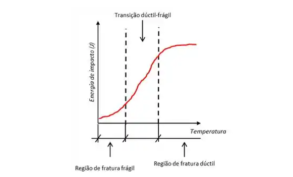 Imagem de Grupo SCAINI