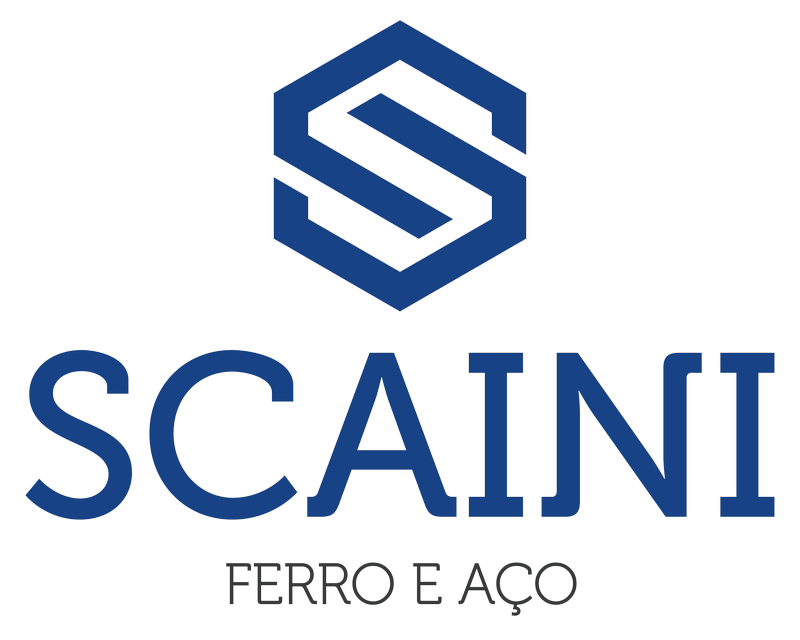 Grupo SCAINI